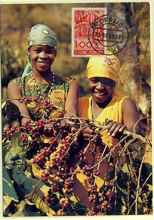 19lis0437.jpg -      Lote:       0437                Descrição:       Café - Postal ilustrado da colheita de café, com selo de 1$00 carmim da emissão Frutos de S. Tomé & Príncipe CE341, obliterados com carimbo de S. Tomé (21.12.72)         PM         Valor Base:       &euro; 20,00       Valor Venda:       &euro;      