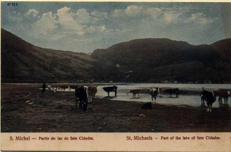20Lis_411.jpg -     Lote:     411             Descrição:     Açores. S. Miguel. Parte da Lagoa das Sete Cidades. Postal ilustrado novo.         PI        Valor Base:     &euro; 8,00     Valor Venda:     &euro;      