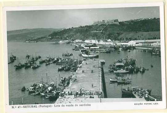 20Lis_416.jpg -     Lote:     416             Descrição:     Setúbal - Lote de venda de sardinha. Postal ilustrado fotográfico novo.         PI        Valor Base:     &euro; 17,00     Valor Venda:     &euro;      