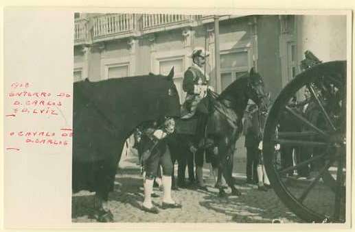 20Lis_426.jpg -     Lote:     426             Descrição:     1908 - Enterro de D. Carlos e D. Luís. O cavalo de D. Carlos. Postal fotográfico novo.         PI        Valor Base:     &euro; 45,00     Valor Venda:     &euro;      
