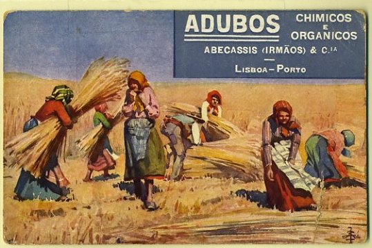20Lis_450.jpg -     Lote:     450             Descrição:     Publicitários. Adubos Químicos e Orgânicos Abecassis (Irmão) & Cia.. Novo.         PI        Valor Base:     &euro; 5,00     Valor Venda:     &euro;      