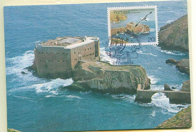 22Lis_0528.jpg -     Lote:    528            Portugal       Descrição:         1985 &mdash; Reservas e Parques Naturais de Portugal. Lote de 4 postais máximos, todos diferentes, com a série, obliterados com carimbo do 1.º dia de circulação de Lisboa (25.10.1985).        PM       Valor Base:     &euro; 15,00     Valor Venda:     Retirado     