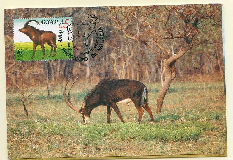 22Lis_0540.jpg -     Lote:    540            Angola       Descrição:         Angola. Fauna. Palanca preta gigante. Três postais ilustrados diferentes, com selos concordantes diferentes, obliterados com carimbo de 1.º dia de circulação de Malange (09.05.90).        PM       Valor Base:     &euro; 10,00     Valor Venda:     &euro; 24,00     