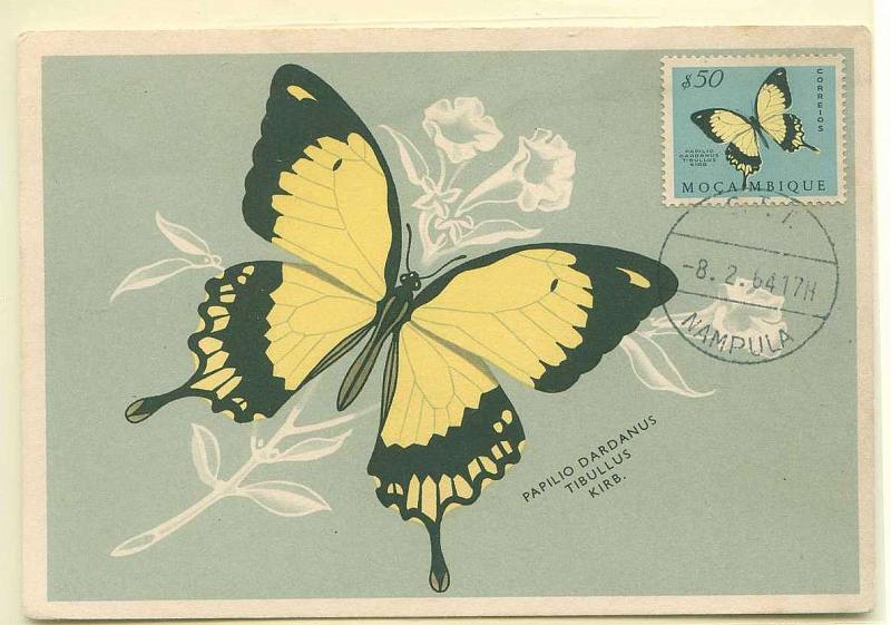 22Lis_0553.jpg -     Lote:    553            Moçambique       Descrição:         Moçambique. 1953 &mdash; Borboletas de Moçambique. Postal ilustrado com a borboleta Papilo Dardanus, com selo de $50 CE393, obliterados com carimbo circular metálico de NAMPULA (08.02.64).        PM       Valor Base:     &euro; 5,00     Valor Venda:     &euro; 5,00     