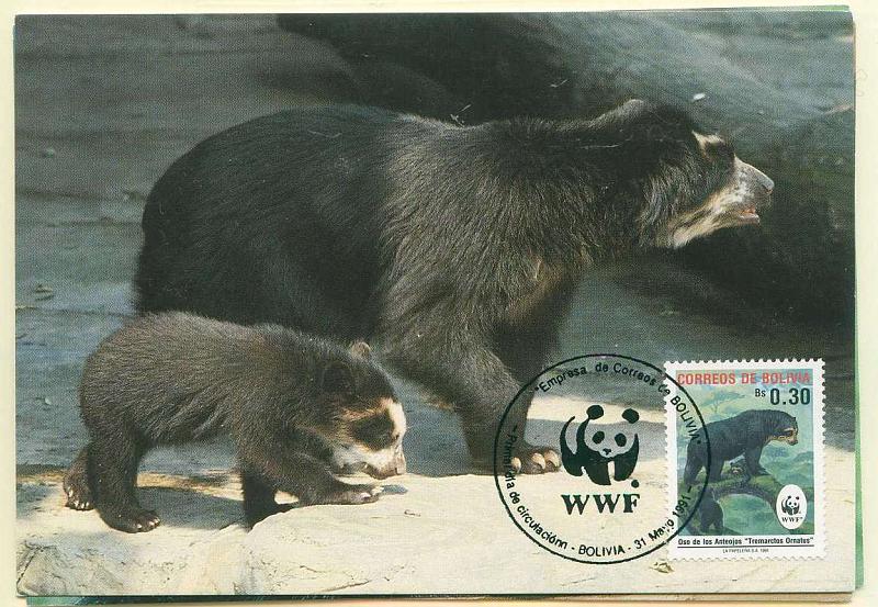 22Lis_0573.jpg -     Lote:    573            Estrangeiro       Descrição:      Bolívia.   Fauna. Spectacled Bear. Lote de 3 postais ilustrados diferentes, com selos concordantes diferentes, obliterados com carimbo de 1.º dia de circulação (31.05.1991).        PM       Valor Base:     &euro; 10,00     Valor Venda:     Retirado     