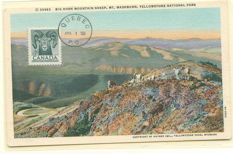 22Lis_0581.jpg -     Lote:    581            Estrangeiro       Descrição:      Canadá.   1953 - Cabrito Montês. Postal ilustrado da Big Horn Mountain Sheep, com selo de 4 c, obliterado com carimbo de Quebec (01.04.1953),        PM       Valor Base:     &euro; 10,00     Valor Venda:     Retirado     