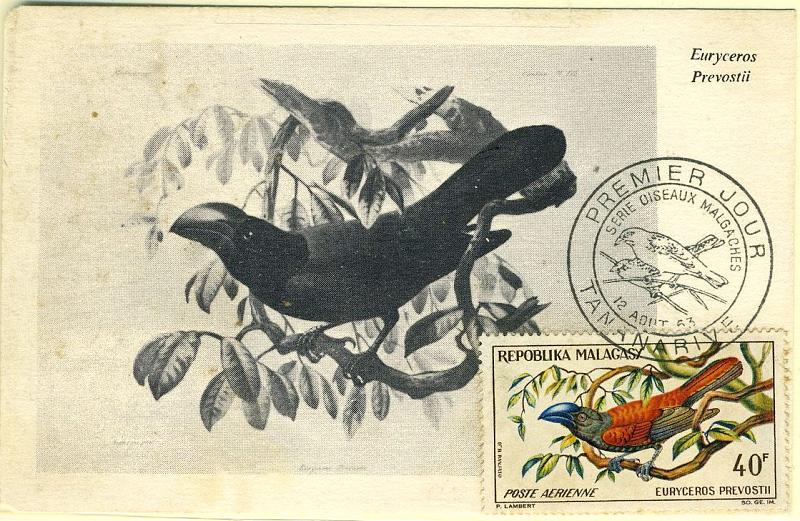 22Lis_0606.jpg -     Lote:    606            Estrangeiro       Descrição:      Madagáscar.   Aves. Helmet Vanga. Postal ilustrado com selo de 40F, concordantes, obliterados com carimbo de 1.º dia de circulação de Tananarive (12.08.63). Raro.        PM       Valor Base:     &euro; 15,00     Valor Venda:     &euro; 22,00     