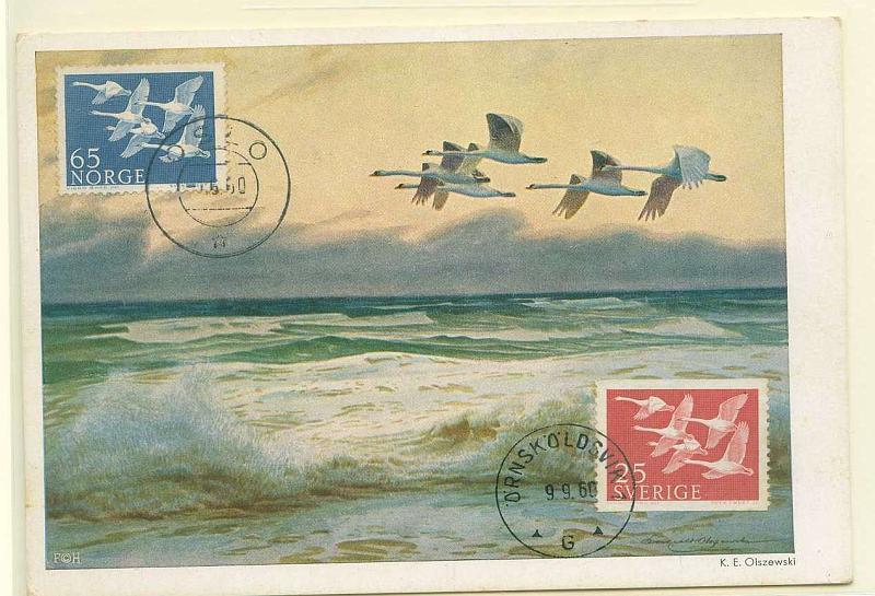 22Lis_0611.jpg -     Lote:    611            Estrangeiro       Descrição:      Noruega.   1960 &mdash; Cisnes. Postal ilustrado com selo de 25c, obliterados com carimbo de Oslo (05.05.60).        PM       Valor Base:     &euro; 10,00     Valor Venda:     Retirado     