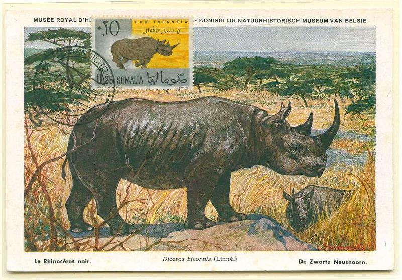 22Lis_0614.jpg -     Lote:    614            Estrangeiro       Descrição:      Somália.   1961 &mdash; Fauna * Rinoceronte. Postal ilustrado com selos de 0.25, obliterados com carimbo de Mogadíscio (07.01.1961).        PM       Valor Base:     &euro; 10,00     Valor Venda:     Retirado     