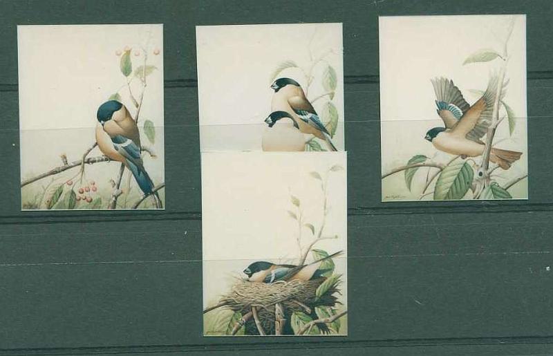 22Lis_0982.jpg -     Lote:    982            Portugal       Descrição:         1990 &mdash; Protecção da Natureza. Açores. WWW &mdash; World Wildlife Fund. CE1926/29. Série completa em provas fotográficas de cor não denteadas, sem a inserção das legendas. MB e MR.        PRV       Valor Base:     &euro; 15,00     Valor Venda:     Retirado     