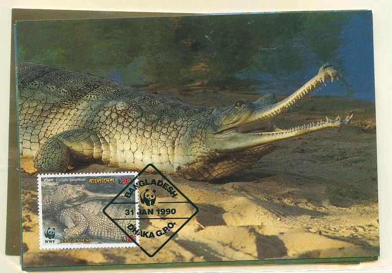 22Lis_2321.jpg -     Lote:    2321      Lotes pelo Correio              Descrição:      Bangladesh.   Fauna. Gavial do Ganges. Lote de 4 inteiros postais diferentes, com selos concordantes diferentes, obliterados com carimbo de 1.º dia de circulação de Dhaka (31.01.1990).        PM       Valor Base:     &euro; 15,00     Valor Venda:     &euro; 15,00     