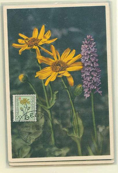 22Lis_2323.jpg -     Lote:    2323      Lotes pelo Correio              Descrição:      Bélgica.   1950 - Flores. Lote de 4 postais ilustrados diferentes, com selos concordantes diferentes, obliterados com carimbo de Gent.        Lote       Valor Base:     &euro; 20,00     Valor Venda:     &euro; 30,00     