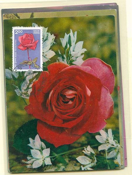 22Lis_2338.jpg -     Lote:    2338      Lotes pelo Correio              Descrição:         Flores. Rosas. Lote de 5 postais máximos do tema Flores de diversos países: Índia (3 diferentes), África do Sul (2 diferentes), .        Lote       Valor Base:     &euro; 10,00     Valor Venda:     Retirado     