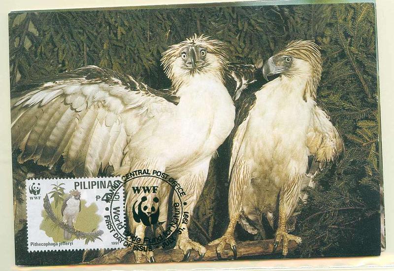 22Lis_2344.jpg -     Lote:    2344      Lotes pelo Correio              Descrição:      Filipinas.   Aves. Água das Filipinas. Lote de três postais ilustrados diferentes, com selos concordantes diferentes, obliterados com carimbo de 1.º dia de circulação de Manila (31.07.1991).        PM       Valor Base:     &euro; 10,00     Valor Venda:     Retirado     
