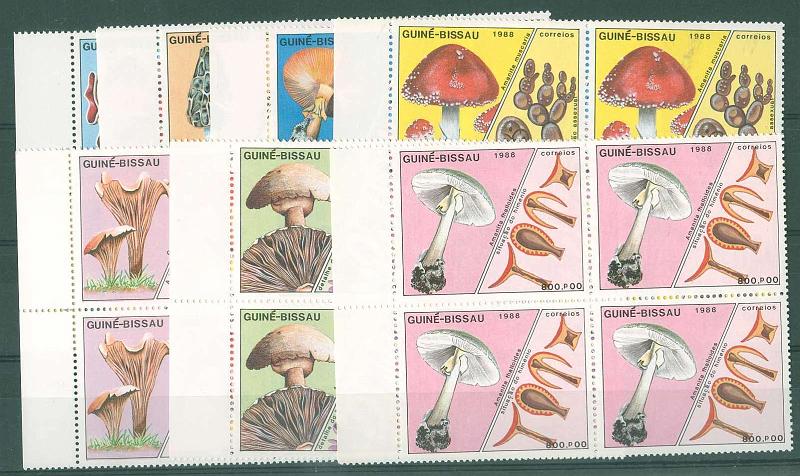 22Lis_2832.jpg -     Lote:    2832      Lotes pelo Correio              Descrição:      Guiné-Bissau * Palops.   1988 &mdash; Cogumelos. CE697/703. Série completa em quadras. Valor de catálogo de 2007 &euro; 174,00.        ***       Valor Base:     &euro; 18,00     Valor Venda:     Retirado     