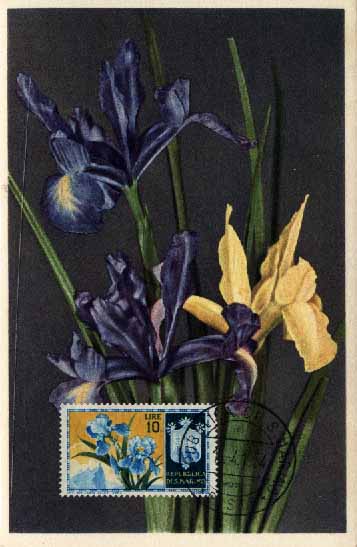 23Lis_0619.jpg -     Lote:    619            Estrangeiro       Descrição:      S. Marino * Flores.   1953 &mdash; Série de Flores diversas. Lote de 6 postais ilustrados com selos concordantes da emissão de 1, 2, 3, 4, 5 e 10 liras (Yvert 374/379), todos obliterados com marca de dia, de S. Marino (06.04.1955).        PM       Valor Base:     &euro; 12,00     Valor Venda:     &euro; 14,00     