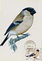 23Lis_0538