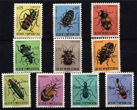 23Lis_1539.jpg -     Lote:    1539            Guiné       Descrição:         1953 &mdash; Insectos da Guiné. CE270/279. Série completa. Valor de catálogo &euro; 25,15.        ***       Valor Base:     &euro; 6,00     Valor Venda:     &euro; 6,00     