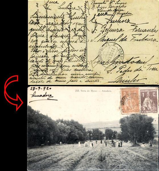 23Lis_1796.jpg -     Lote:    1796            Portugal       Descrição:      Variedade de Cliché CQRREIO   &mdash; Carimbos circulares datados. Postal ilustrado circulado de Lisboa (24.09.20) para S. Pedro da Torre (25.09.20) com selos de 1c castanho e 2c laranja. Carimbo batido a preto de S. PEDRO DA TORRE. Raro.        PI       Valor Base:     &euro; 6,00     Valor Venda:     Retirado     