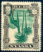 24Lis1713.jpg -     Lote:    1713            Companhia do Niassa       Descrição:         1901 &mdash; D. Carlos I (Girafa e Camelos). CE29, 10 reis verde. Selo com centro invertido. Valor de catálogo &euro; 135,00. MB e R.        ***       Valor Base:     &euro; 25,00     Valor Venda:     &euro; 42,00     