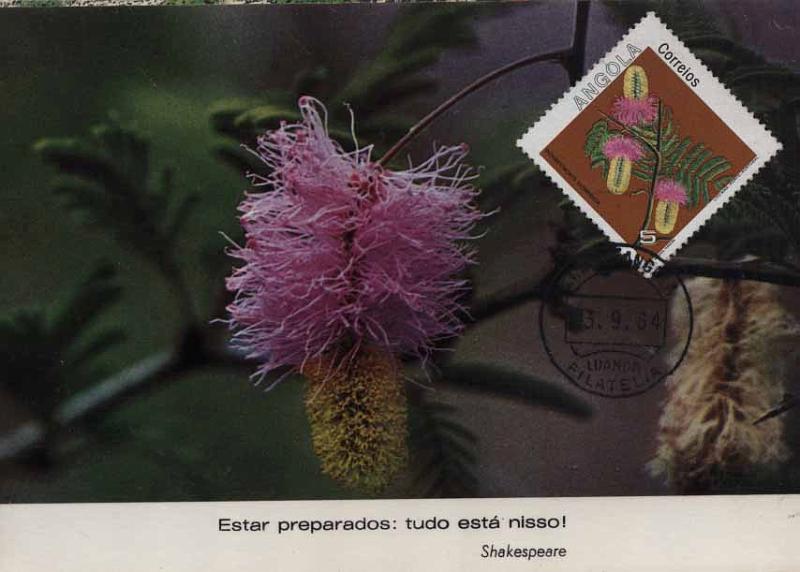 24Lis2257.jpg -     Lote:    2257      Lotes pelo Correio              Descrição:      Angola, Cabo Verde e Guiné (Palops).   Lote de quatro postais máximos ano 1984. Lote a ver.        Lote       Valor Base:     &euro; 6,00     Valor Venda:     &euro; 6,00     