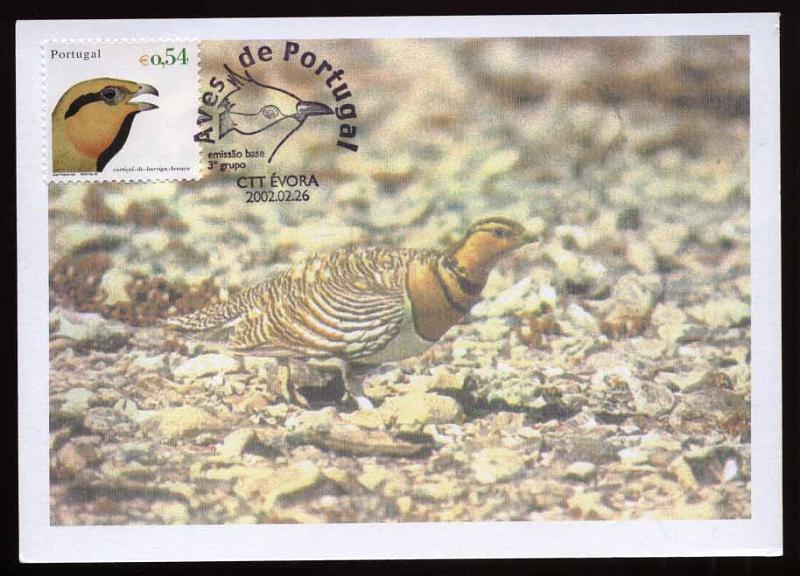 24Lis2262.jpg -     Lote:    2262      Lotes pelo Correio              Descrição:      Portugal &mdash; Aves.   Lote de 11 postais máximos da temática aves. Lote a ver.        PM       Valor Base:     &euro; 40,00     Valor Venda:     &euro; 40,00     
