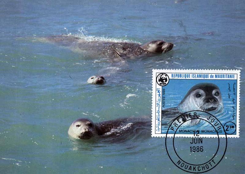 24Lis2264.jpg -     Lote:    2264      Lotes pelo Correio              Descrição:      Fauna Marinha.   Lote de 6 postais máximos de Portugal, Nações Unidas, Áustria, Mauritânia e Togo. Lote a ver.        PM       Valor Base:     &euro; 20,00     Valor Venda:     Retirado     