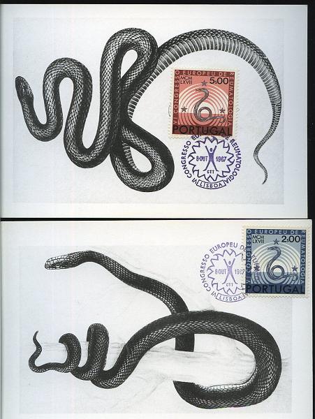 2202.jpg -     Lote:    2202      Lotes pelo Correio             Descrição:         1967 &mdash; 6.º Congresso Europeu de Reumatologia. CE1011/1013. Lote de 3 postais máximos (um por cada selo), obliterados com carimbo comemorativo de 1.º dia de circulação * Lisboa (08.10.67).        PM       Valor Base:     &euro; 5,00     Valor Venda:     &euro; 5,00     