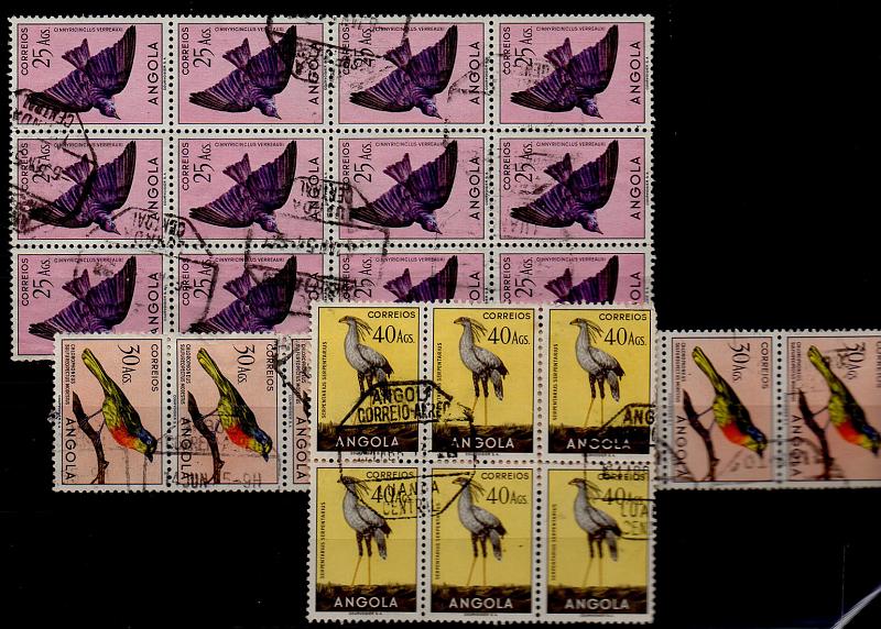 1494.jpg -     Lote:    1494            Angola       Descrição:         1951 &mdash; Aves. Lote composto por bloco de 12 selos (3x4) de 25 Ags CE346 +  duas tiras verticais de 3 e 4 selos de 30 Ags CE347 + bloco de 6 selos (3x2) de 40 Ags CE348. Valor de catálogo &euro; 237,40.         O       Valor Base:     &euro; 35,00     Valor Venda:     Retirado     
