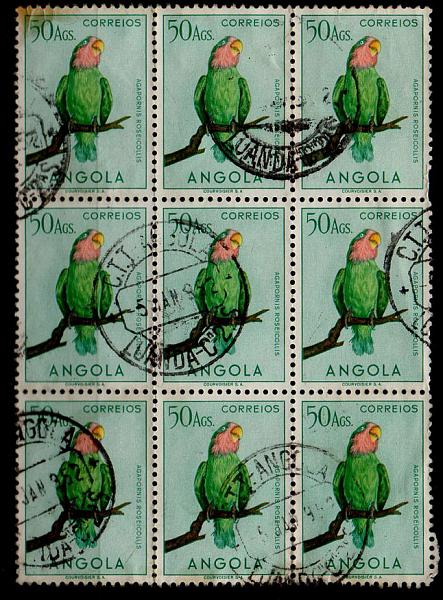 1495.jpg -     Lote:    1495            Angola       Descrição:         1951 &mdash; Aves. CE349, 50 Ags. Bloco de 9 selos (3x3). Valor de catálogo &euro; 261,00.        O       Valor Base:     &euro; 50,00     Valor Venda:     &euro; 130,00     