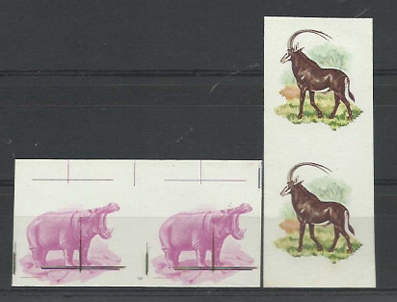 2519.jpg -     Lote:    2519      Lotes pelo Correio             Descrição:      Moçambique * Palops.   1976 &mdash; Fauna. CE53 e 55, 8$00 e 10$00. Lote de dois pares de provas sem impressão da taxa e legendas.        PRV       Valor Base:     &euro; 10,00     Valor Venda:     Retirado     