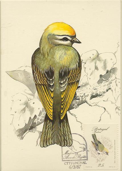0583.jpg -     Lote:    583                   Descrição:         Aves da Madeira. CE1791A/94A &mdash; selos da carteira. Lote de 4 postais máximos com cada um dos selos, obliterados com carimbo do 1.º dia de circulação do Funchal (06.03.87).        PM       Valor Base:     &euro; 8,00     Valor Venda:     Retirado     