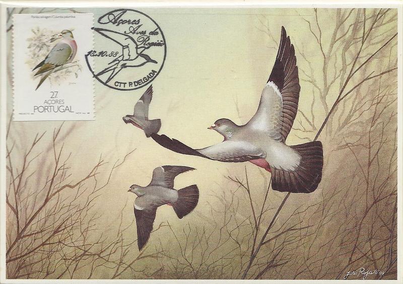 0584.jpg -     Lote:    584                   Descrição:         Aves dos Açores. CE1859A/62A &mdash; selos da carteira. Lote de 4 postais máximos com cada um dos selos, obliterados com carimbo do 1.º dia de circulação do Ponta Delgada (18.10.88).        PM       Valor Base:     &euro; 8,00     Valor Venda:     Retirado     