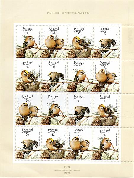 1171.jpg -     Lote:    1171            Portugal       Descrição:         1989 &mdash; Protecção da Natureza. Açores. Folha miniatura n.º 8. CE1873/76. Valor de catálogo &euro; 31,50.        ***       Valor Base:     &euro; 20,00     Valor Venda:     &euro; 20,00     