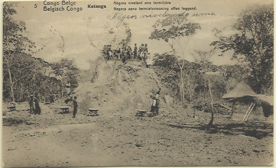 1814.jpg -     Lote:    1814                   Descrição:      Congo Belga.   1909 &mdash; Emissão base com legenda "CONGO BELGA". Yv16, 5c verde amarelo + adicional de 5c. Inteiro postai ilustrado (Katanga &mdash; Nègres nivelant une termitière). Circulado em 09.11.14 para o Porto.        IC       Valor Base:     &euro; 10,00     Valor Venda:     Retirado     