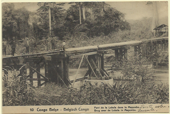 1818.jpg -     Lote:    1818                   Descrição:      Congo Belga.   1909 &mdash; Emissão base com legenda "CONGO BELGA". Yv16, 5c verde amarelo + adicional de 5c. Inteiro postai ilustrado (Pont de la Lukula dans le Mayumbe). Circulado em 08.11.14 para o Porto.        IC       Valor Base:     &euro; 10,00     Valor Venda:     Retirado     