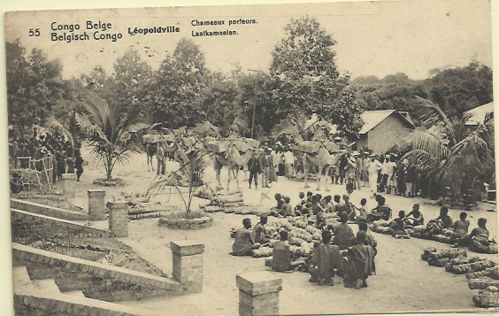 1821.jpg -     Lote:    1821                   Descrição:      Congo Belga.   1909 &mdash; Emissão base com legenda "CONGO BELGA". Yv17, 10c carmim. Inteiro postai ilustrado (Chameaux Porteurs - Leopoldville). Circulado em 16.08.19.        IC       Valor Base:     &euro; 10,00     Valor Venda:     Retirado     