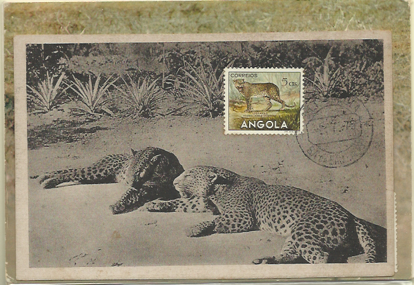 2097.jpg -     Lote:    2097      Lotes pelo Correio              Descrição:      Angola * Animais &mdash;   Lote de 4 PMs concordantes para os selos de 5c (Leopardo), 1Ag (Zebra), 50c (Impala) e 30c (Gunga). Lote a ver.        Lote/PM       Valor Base:     &euro; 10,00     Valor Venda:     &euro; 10,00     