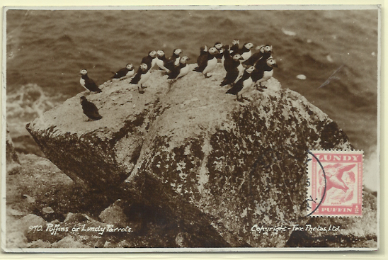 2110.jpg -     Lote:    2110      Lotes pelo Correio              Descrição:      Lundy (Puffins) &mdash;   Postal ilustrado concordante com selo de &frac12; d carmim rosa, obliterados com marca de dia de Lundy. Lote a ver.        PM       Valor Base:     &euro; 10,00     Valor Venda:     &euro; 17,00     