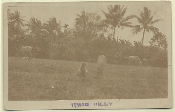 2178.jpg -     Lote:    2178      Lotes pelo Correio              Descrição:         Dilly * Timor. Postal fotográfico circulado de Singapura (03.08.31) para Timor.        PI       Valor Base:     &euro; 15,00     Valor Venda:     Retirado     