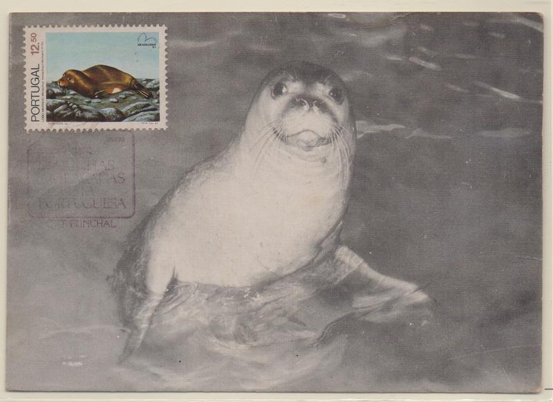 1909.jpg -     Lote:    1909      Lotes pelo Correio              Descrição:         Lobo Marinho. Postal ilustrado concordante com selo de 12$50 CE1625, obliterados com carimbo comemorativo do Funchal (29.07.83).         PM       Valor Base:     &euro; 4,00     Valor Venda:     Retirado     