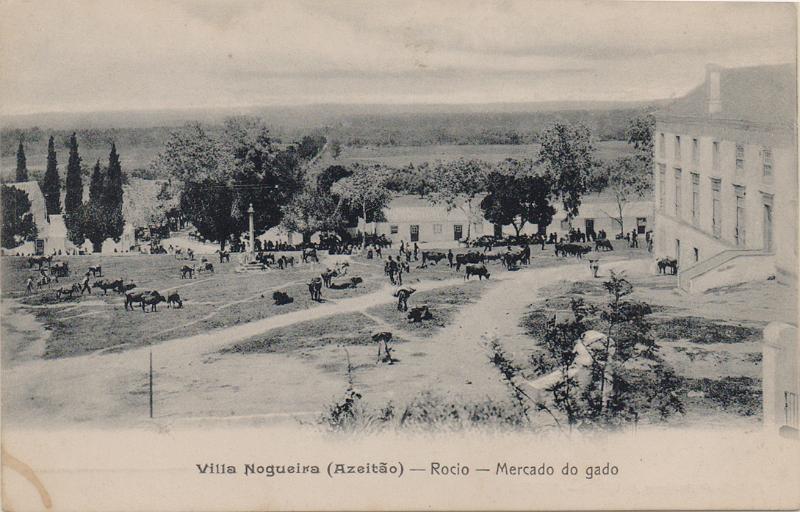 0533.jpg -     Lote:    533                   Descrição:         Azeitão &mdash; Villa Nogueira &mdash; Rocio &mdash; Mercado do gado. Edição António A. Valido.        PI       Valor Base:     &euro; 8,00     Valor Venda:     &euro;      
