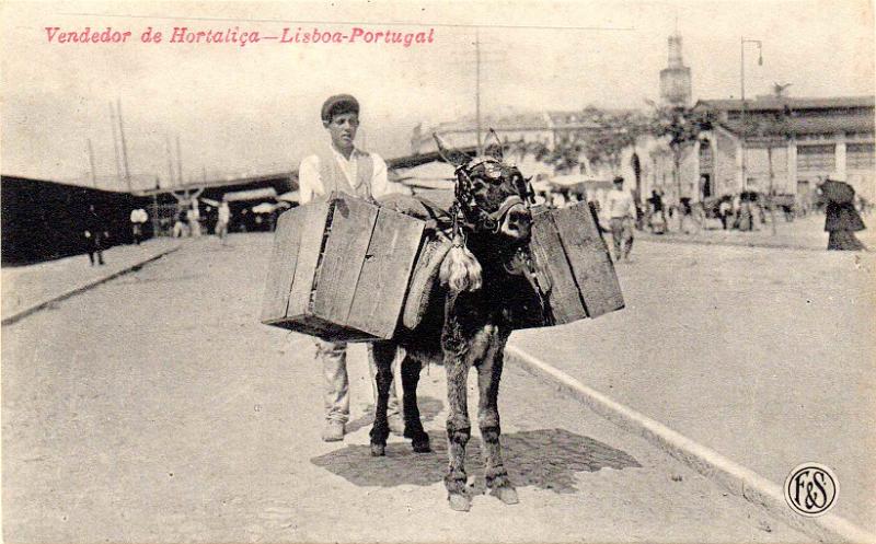 0545.jpg -     Lote:    545                   Descrição:         Costumes portugueses &mdash; Lisboa. Vendedor de Hortaliça.        PI       Valor Base:     &euro; 12,00     Valor Venda:     &euro;      