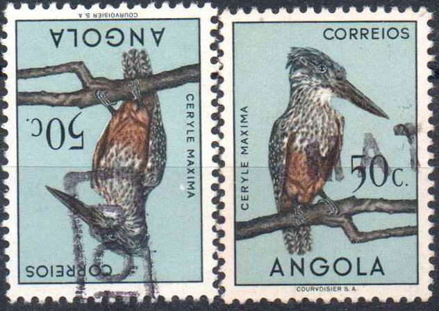 0698.jpg -     Lote:    698                   Descrição:         Carimbos nominativos ferroviários. 1951 &mdash; Aves de Angola. CE330, 50c. Dois selos obliterados com carimbos batidos a preto "MATETE" e "DONDO".        O       Valor Base:     &euro; 20,00     Valor Venda:     &euro;      