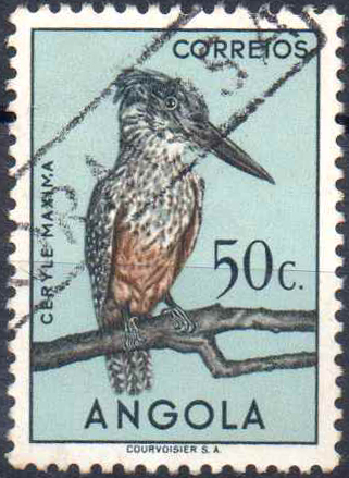 0699.jpg -     Lote:    699                   Descrição:         Carimbos nominativos ferroviários. 1951 &mdash; Aves de Angola. CE330, 50c. Obliterado com carimbo batido a preto "A. FORMOSA".        O       Valor Base:     &euro; 15,00     Valor Venda:     &euro;      