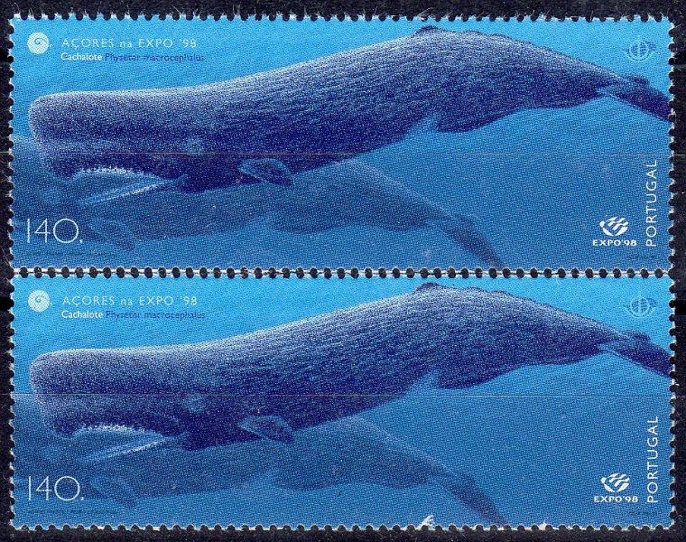 0974.jpg -     Lote:    974                   Descrição:         1998 &mdash; O Mar dos Açores. CE2534, 140$00. Selo com defeito de impressão no bordo inferior. Acompanha selo normal para comparação.        ***       Valor Base:     &euro; 8,00     Valor Venda:     &euro;      