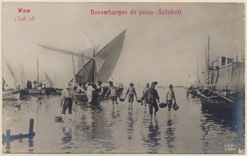 2272.jpg -     Lote:    2272      Lotes pelo Correio              Descrição:         Setúbal. Desembarque do peixe.        PI       Valor Base:     &euro; 6,00     Valor Venda:     &euro;      