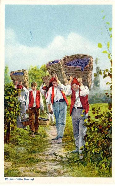 2286.jpg -     Lote:    2286      Lotes pelo Correio              Descrição:         Costumes portugueses &mdash; Pinhão (Alto Douro) &mdash; jornaleiros transportando uvas.        PI       Valor Base:     &euro; 5,00     Valor Venda:     &euro;      