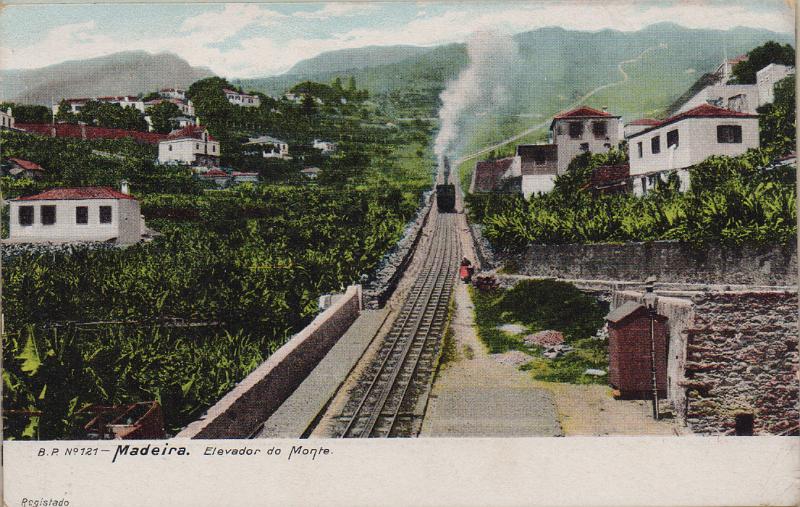 2318.jpg -     Lote:    2318      Lotes pelo Correio              Descrição:         Madeira. Lote com 8 postais ilustrados: Elevador do Monte, Carro de bois, Carro do Monte, Câmara de Lobos, Corça de bois, Entrada da cidade e Caminho do Monte (Descida de carros).        PI       Valor Base:     &euro; 15,00     Valor Venda:     &euro;      