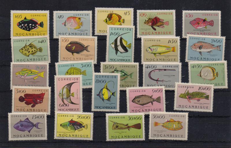 3171.jpg -     Lote:    3171      Lotes pelo Correio              Descrição:         1951 &mdash; Peixes de Moçambique. CE356/79. Série completa, com selos de valor mais elevados com regomagem.        ***       Valor Base:     &euro; 25,00     Valor Venda:     &euro;      